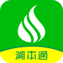 溯本通