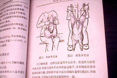 九阴真经阉人怎么恢复