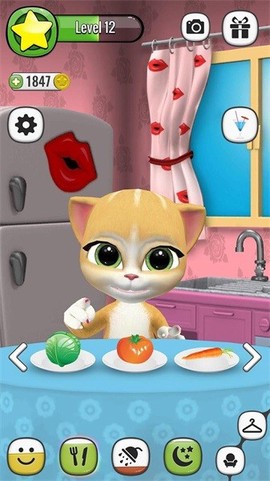 会说话的艾玛猫图3