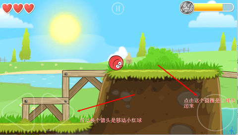 小红球4[图4]