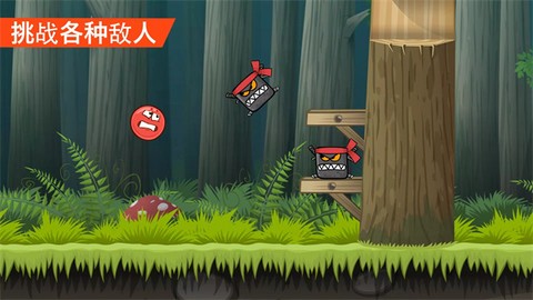 小红球4图3
