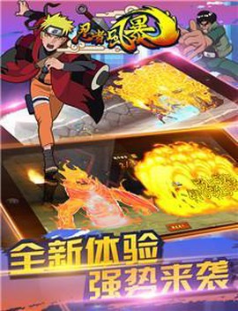 忍者风暴[图2]