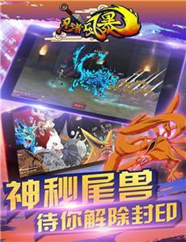 忍者风暴[图3]