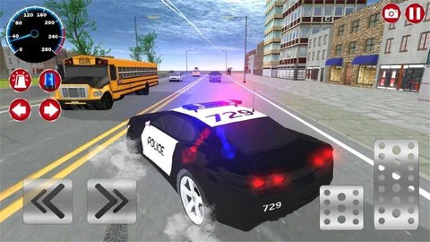 真实警车模拟器图3
