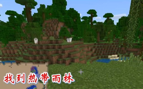 我的世界热带雨林怎么找[图2]