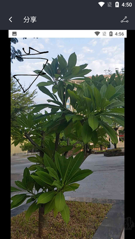 照片水印[图4]