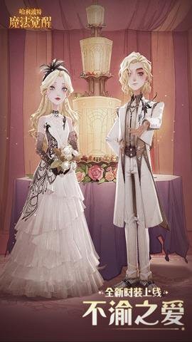 哈利波特魔法觉醒网易版[图1]