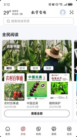 数字宝鸡图2