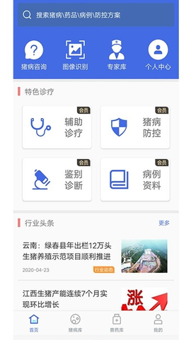 猪安全图2