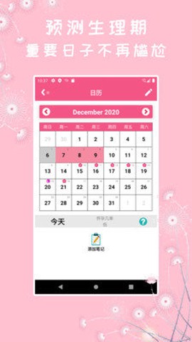 咪蜜大姨妈图3