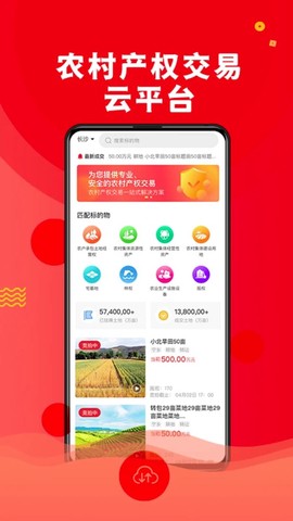 农交安图1