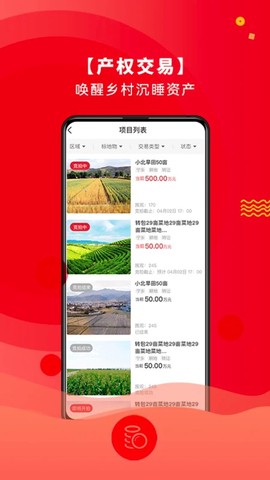 农交安图2