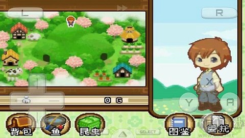 牧场物语双子村中文版图1