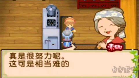 牧场物语双子村中文版图3