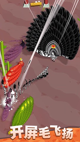 孔雀拔毛大赛官方版图3