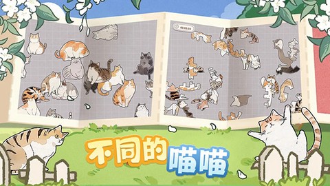 挤在一起的猫猫图1