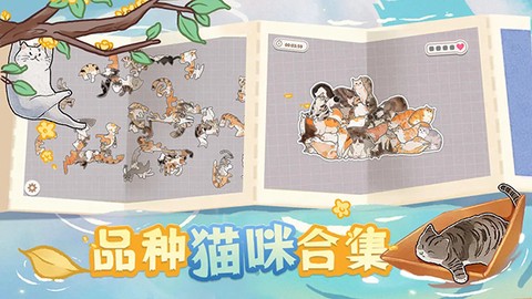 挤在一起的猫猫图2