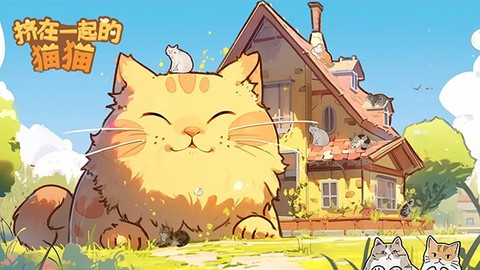 挤在一起的猫猫图3