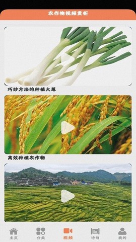 田园小院[图1]