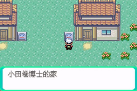 口袋妖怪传说绿宝石图1