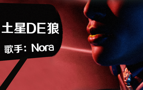 暗影之狼mod怎么用