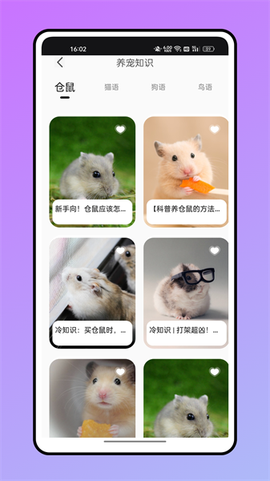 仓鼠翻译器[图1]