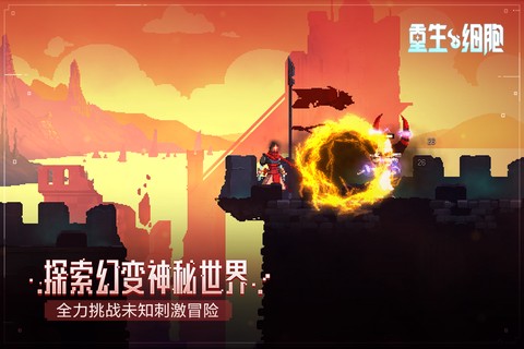再生细胞图3