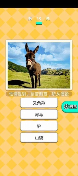 动物研究院图3