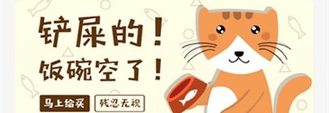 遇见我的猫[图1]