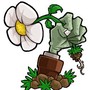 植物大战僵尸无双版手机版