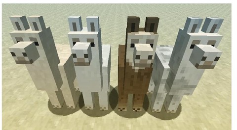 我的世界羊驼吐怎么走[图2]