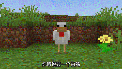 我的世界小鸡怎么长大[图2]