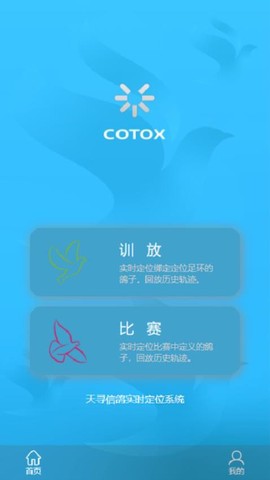 中国信鸽比赛[图1]