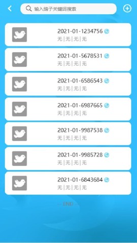 中国信鸽比赛图1