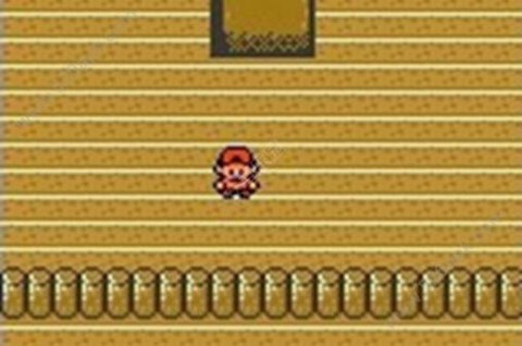 口袋妖怪生与死图1