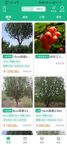 苗木客图2