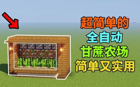 我的世界甘蔗怎么种植[图2]