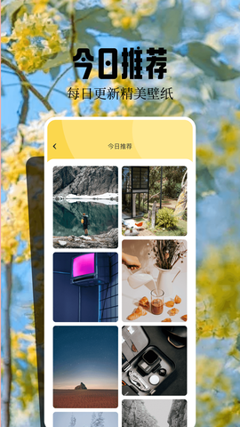 魔秀桌面壁纸[图2]