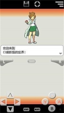 口袋妖怪白2[图2]