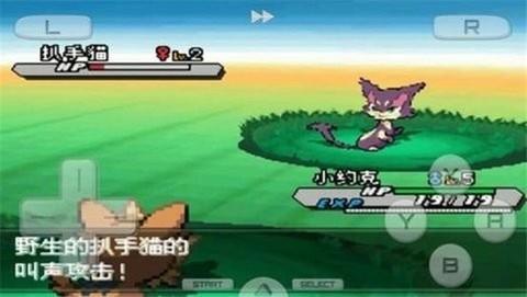 口袋妖怪白2图1