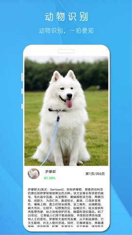 拍照识万物图3