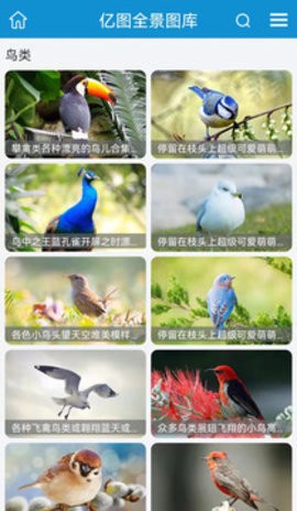 亿图全景图片图2