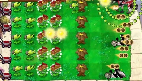 植物大战僵尸启命版图1