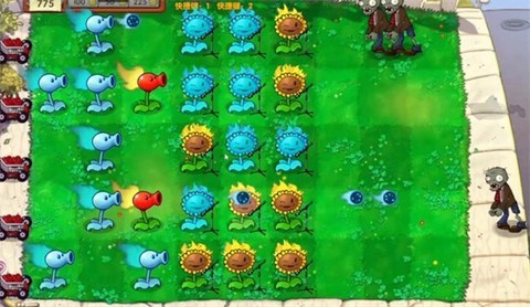 植物大战僵尸启命版图2