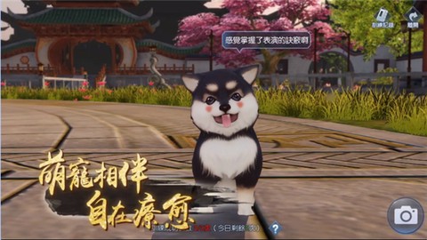 浮生为卿歌图1