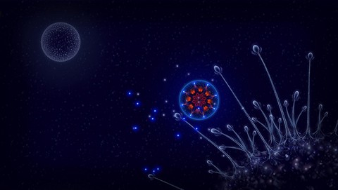 细胞生存战图1