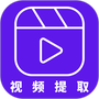 视频提取助手