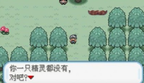 口袋妖怪火箭队图2