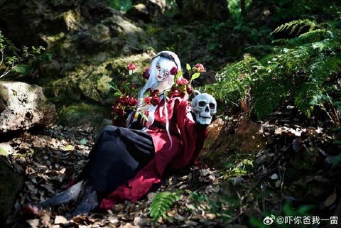 阴阳师人面树怎么用[图1]
