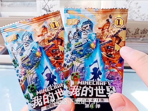 为什么玩我的世界很卡[图2]